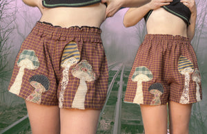 TOMMY FUNGI BOXERS