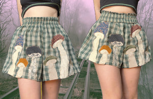 DYLAN FUNGI BOXERS