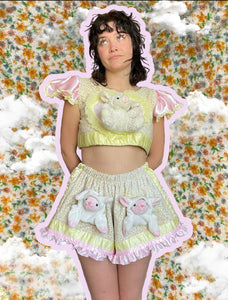 MARY HAD A LIL LAMB SET