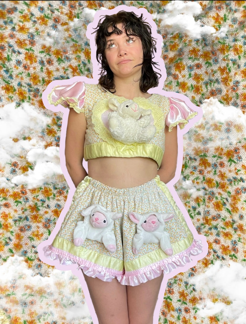 MARY HAD A LIL LAMB SET