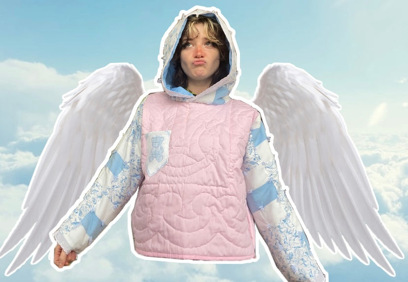 PINK AND BLUE TEDDY HOODIE