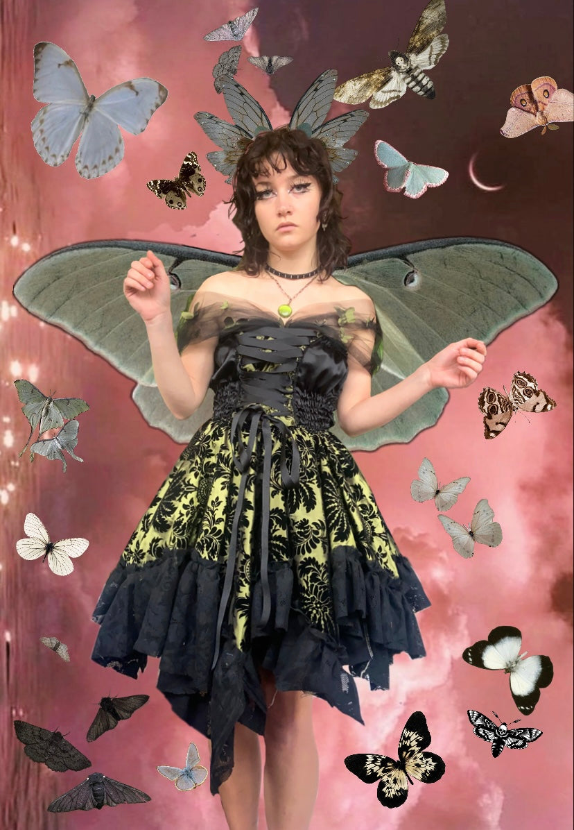 MOTH QUEEN DRESS